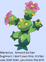 9e338-maractus