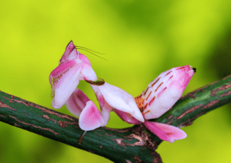 Screen Shot 2018-05-27 at 11.50.02 PM