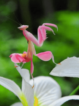 Screen Shot 2018-05-27 at 11.50.42 PM