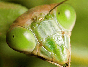 Screen Shot 2018-05-27 at 11.54.15 PM