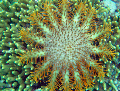 Screen Shot 2018-06-17 at 9.33.37 PM.png