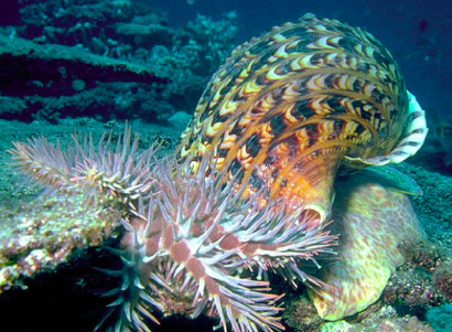 Screen Shot 2018-06-17 at 9.34.57 PM.png