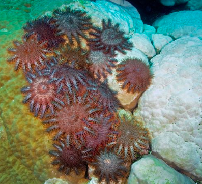 Screen Shot 2018-06-17 at 9.38.54 PM.png