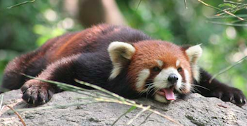 Screen Shot 2018-07-18 at 11.17.17 PM.png