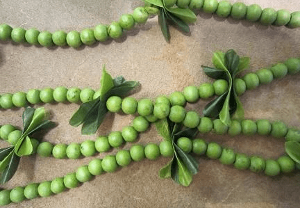 Screen Shot 2018-08-17 at 12.20.41 PM.png