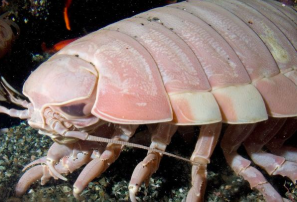 Screen Shot 2018-09-01 at 1.25.14 PM.png