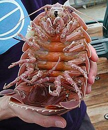 Screen Shot 2018-09-01 at 3.28.34 PM.png