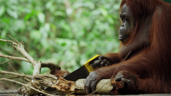 Screen Shot 2018-09-09 at 12.50.32 AM.png