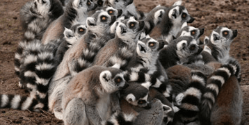 Screen Shot 2018-09-15 at 2.45.44 PM.png