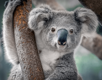 Screen Shot 2018-10-14 at 12.20.39 AM.png