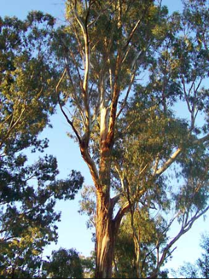 Screen Shot 2018-10-14 at 12.25.20 AM.png