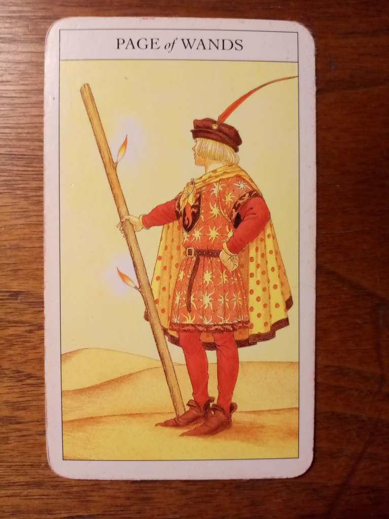 A tarot card, the Page of Wands.