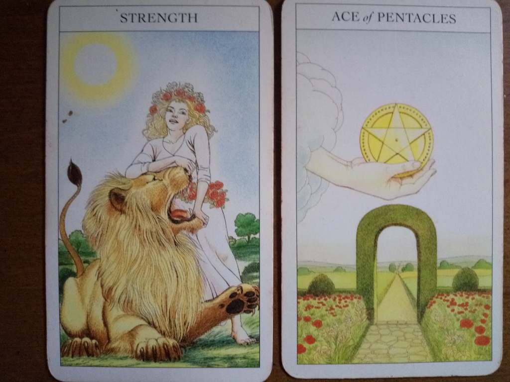 Two tarot cards, Strength and the Ace of Pentacles.