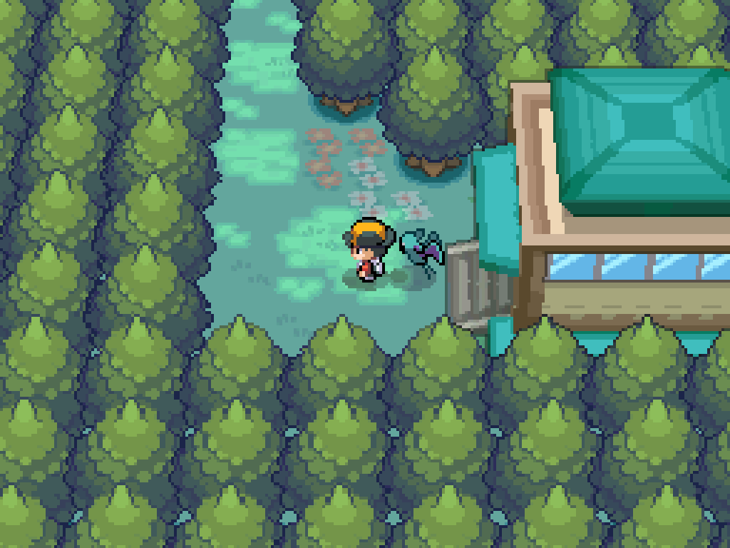 Stepping into Ilex Forest: many trees, flowers, shade from the canopy.