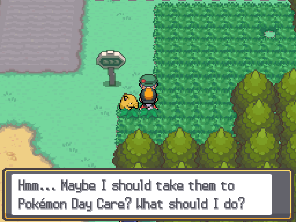 Talking to a boy in a scout uniform on route 34, near where the dirt path turns into paved road.  Boy: Hmm... Maybe I should take them to Pokémon Day Care?  What should I do?
