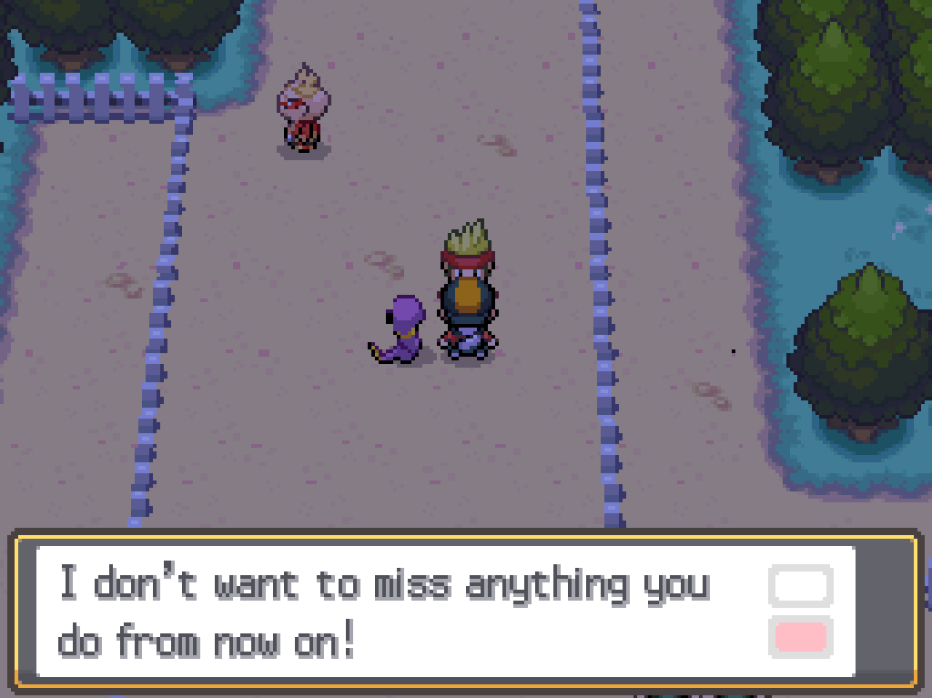 Talking to a young man with spiky hair on route 35: I don't want to miss anything you do from now on!