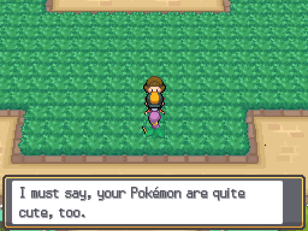 Talking to a middle-aged woman in a large area of long grass in National Park: I must say, your Pokémon are quite cute, too.