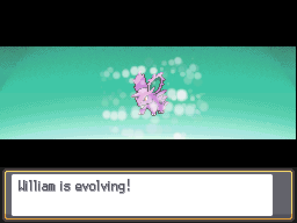 William is evolving!