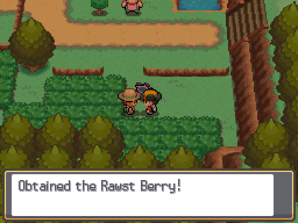 Obtained the Rawst Berry!