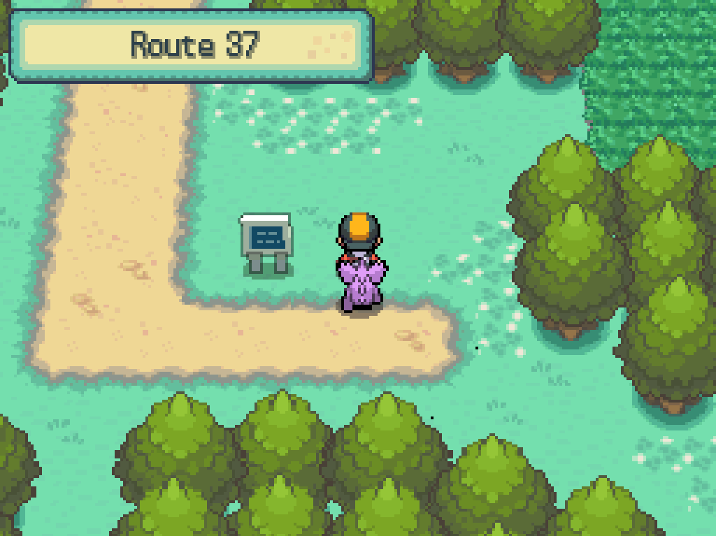 Stepping onto route 37: many trees and flowers, a dirt path.