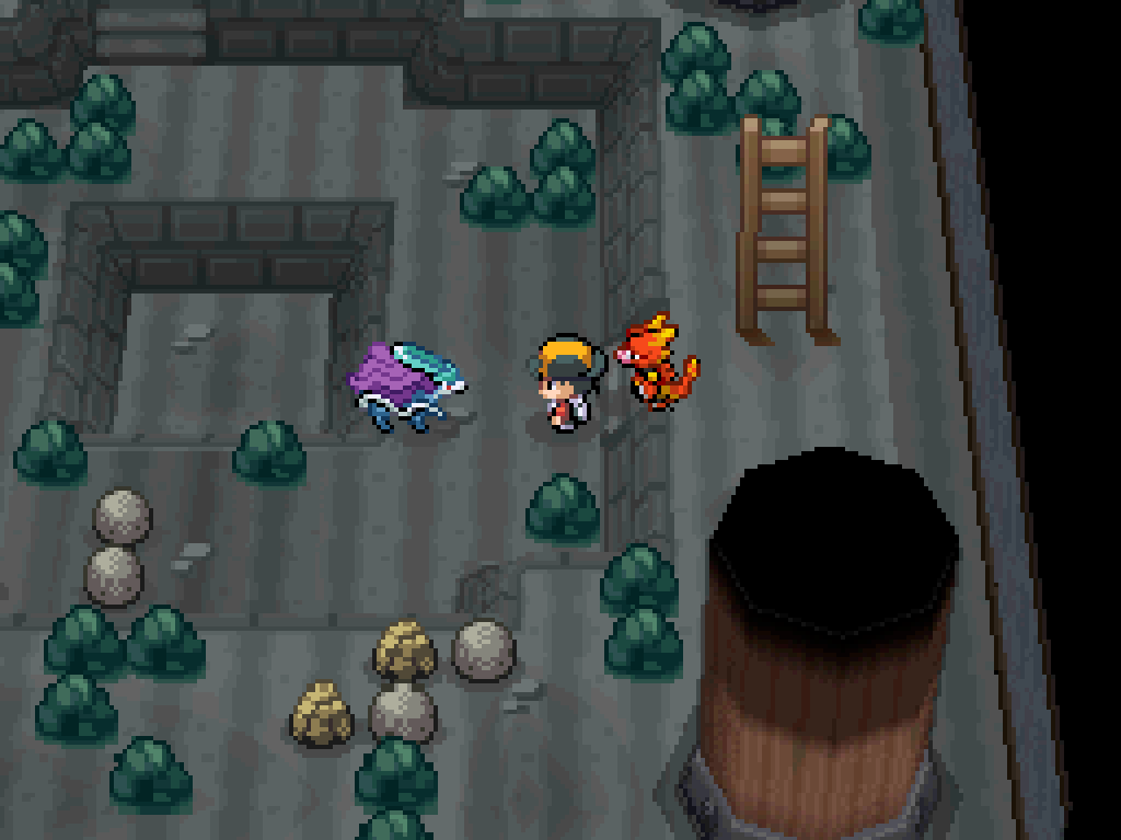 Suicune approaches the player before fleeing.