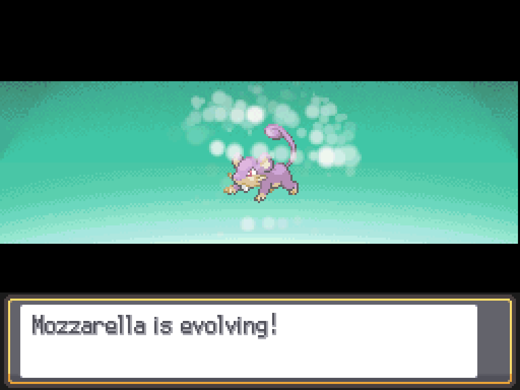 Mozzarella is evolving!