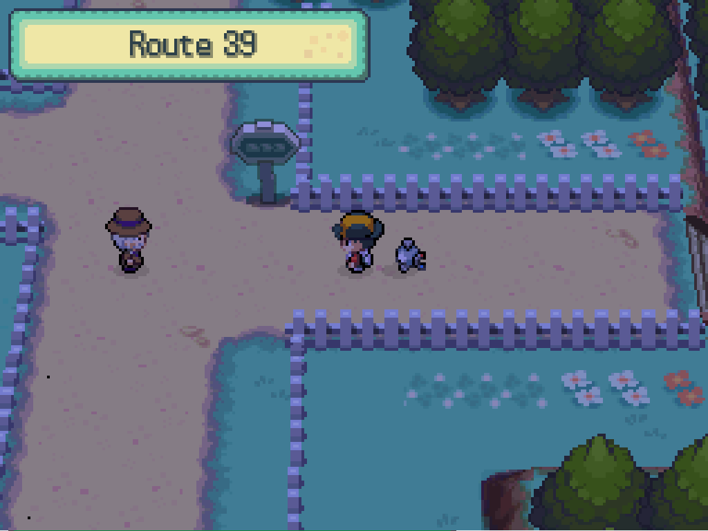 Stepping onto route 39: more white fences, a signpost. The road forks off to the north and south.