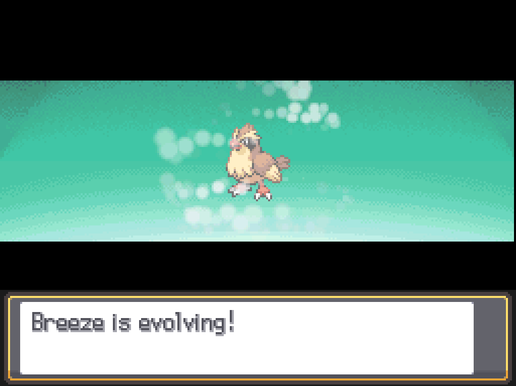 Breeze is evolving!