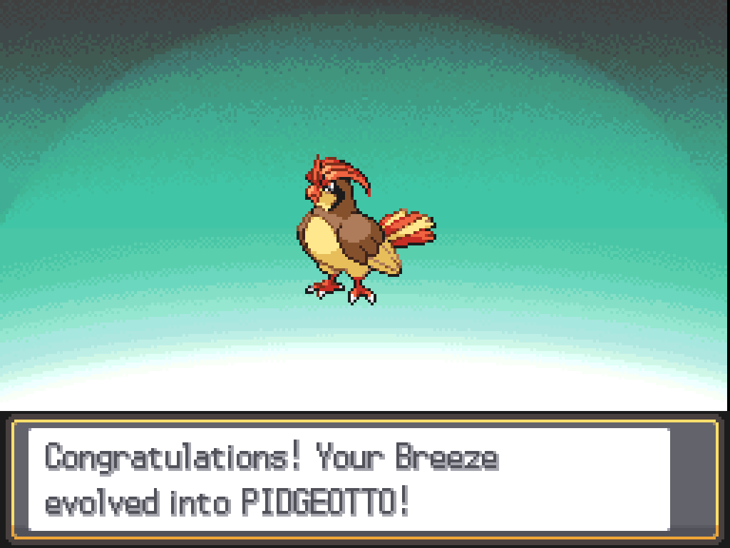 Congratulations! Your Breeze evolved into Pidgeotto!