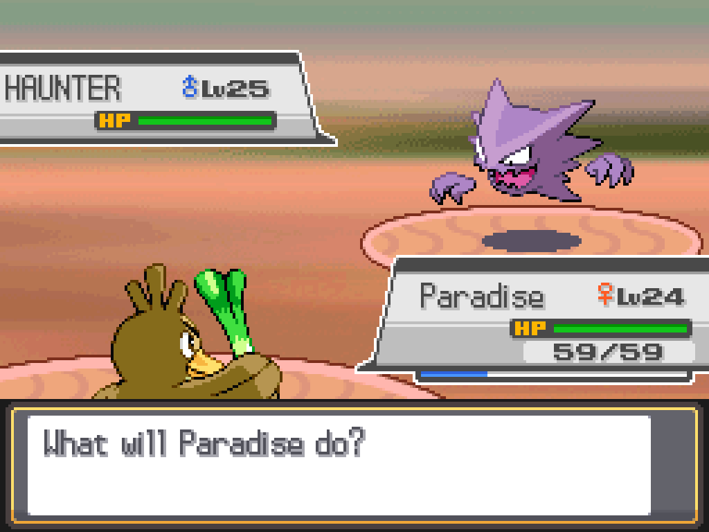 Paradise, a level 24 female Farfetch'd, faces a level 25 male Haunter.
