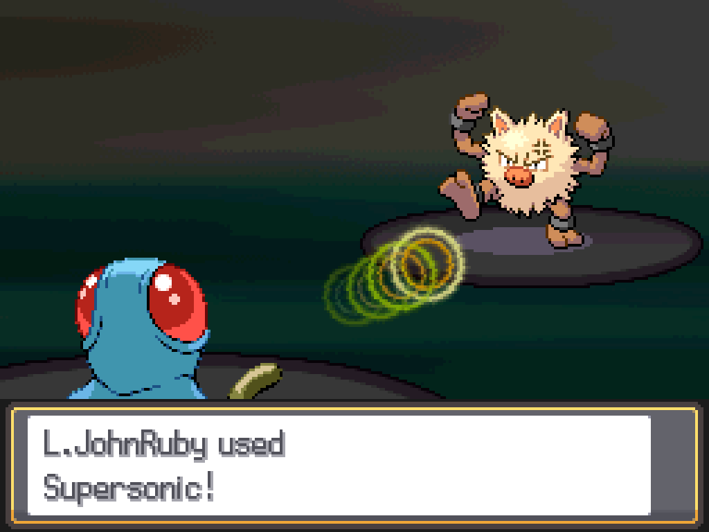 L.JohnRuby used Supersonic!