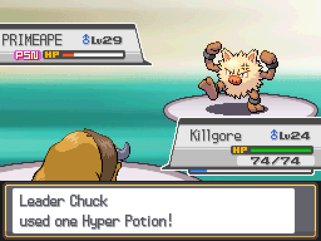 Leader Chuck used one Hyper Potion!